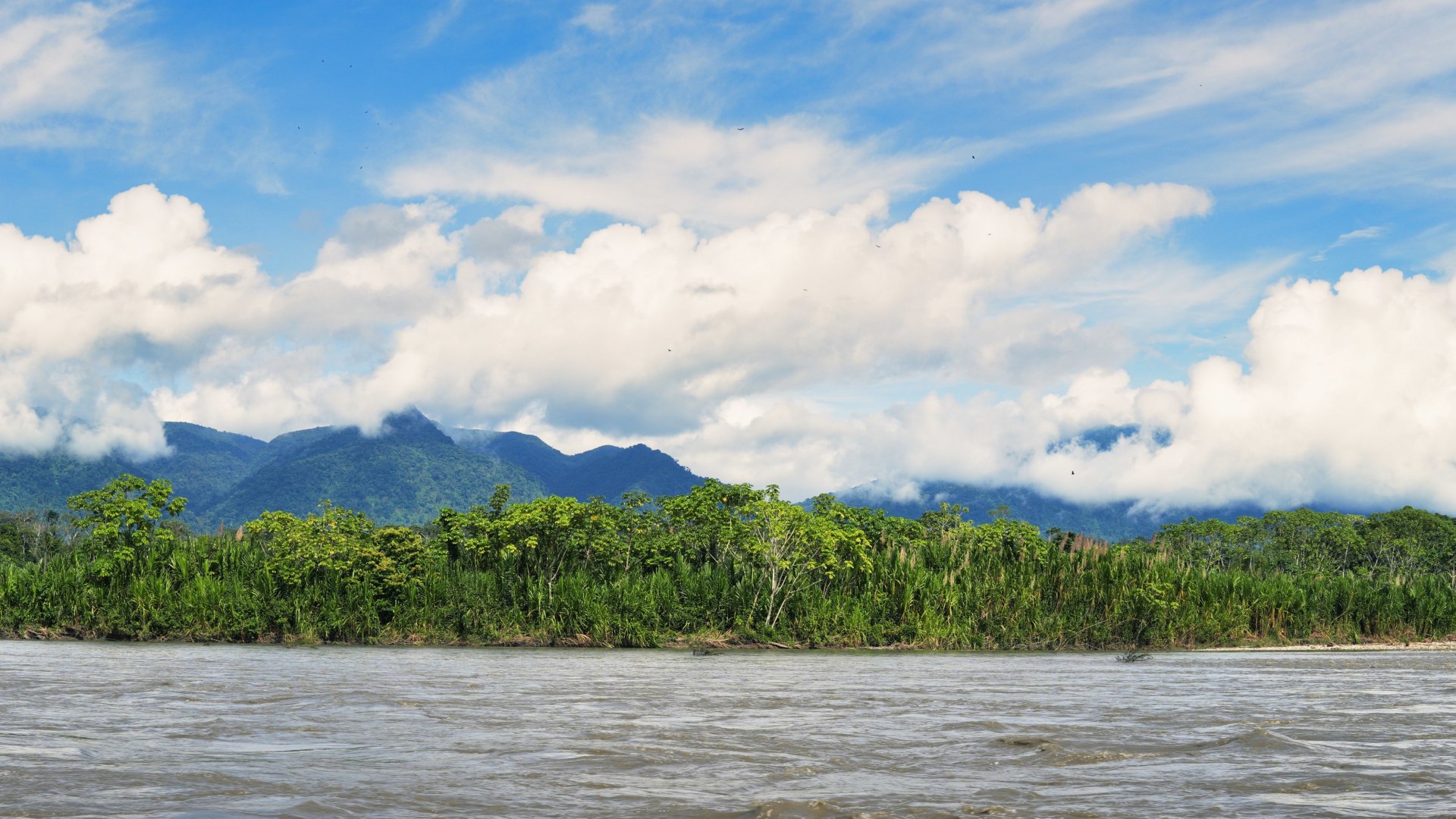 Dschungel-Abenteuer im Amazonas